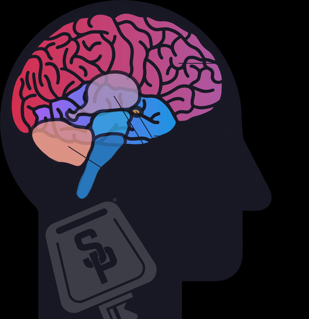 What Movement Does For Your Brain